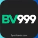 BV999 Game